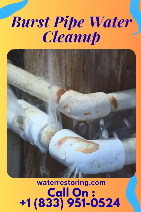Burst Pipe Water Cleanup in Warfield, KY