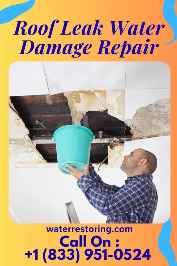 Roof Leak Water Damage Repair in Warfield, KY